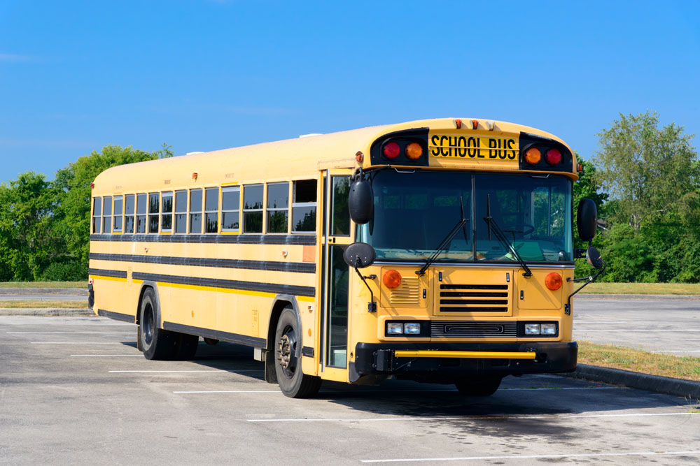 School Buses