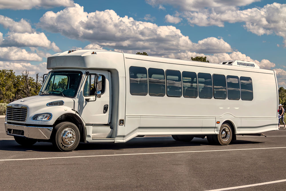 Tour & Limo Buses